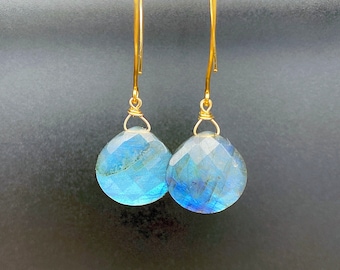 Labradorite Earrings Aura Protection Earrings Spiritual Yoga Gift for Her Empath Light Energy Jewelry Flash Labradorite