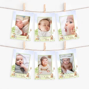 Bannière photo premier anniversaire, premier anniversaire des amis de la forêt bannière photo, premier anniversaire, cartes jalons bébé des bois