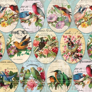 0227 Ovali Uccelli & Fiori - 30 Ovali - 1,2 x 1,5 pollici - 30 x 40 mm - Immagine ovale digitale - Foglio collage digitale - Download istantaneo
