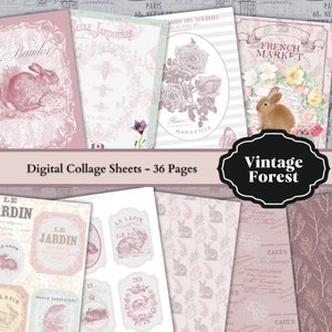 0251 Bosque Vintage - 36 ページ - 異なるディセニョス - デジタルダウンロード - インプリミブル - インスタントダウンロード