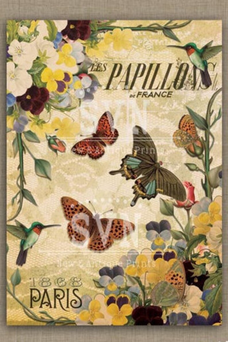 Butterflies - Digital Collage Sheet Printable Download Digital Image ...