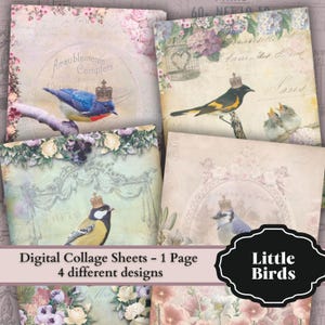 VOGELS |  Shabby-chic stijl | Digitaal collageblad downloaden |  Voor poststukken, cadeaukaartjes, scrapbooking, uitnodigingen, kaarten, enz...