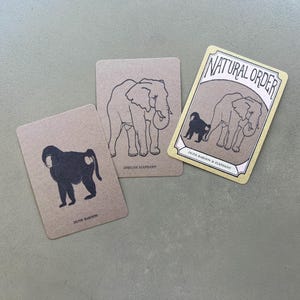 Symbiotic Relationship Card Game: Natural Order Memory Game, Ecology Learning image 9