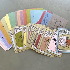 Symbiotic Relationship Card Game: Natural Order Memory Game, Ecology Learning image 12