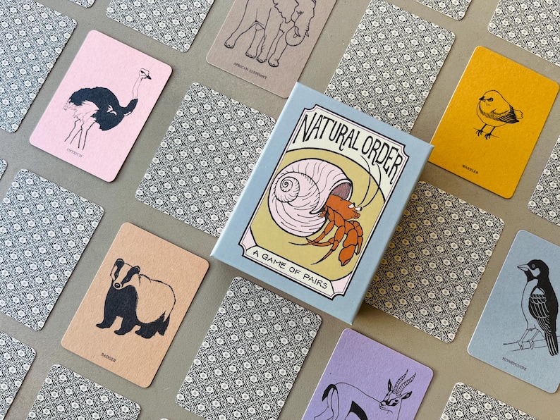 Symbiotic Relationship Card Game: Natural Order Memory Game, Ecology Learning image 8