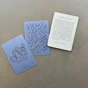 Symbiotic Relationship Card Game: Natural Order Memory Game, Ecology Learning image 4