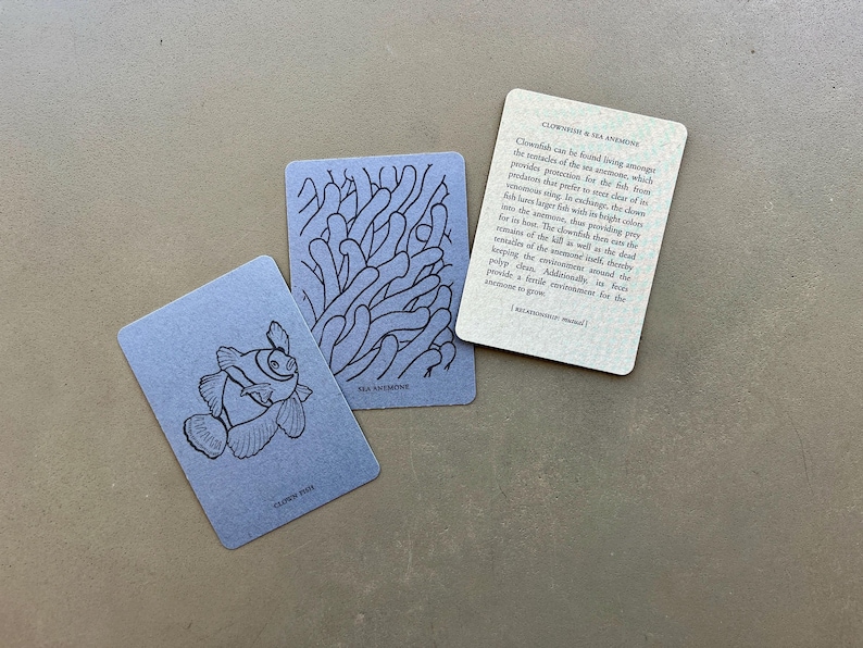Symbiotic Relationship Card Game: Natural Order Memory Game, Ecology Learning image 4