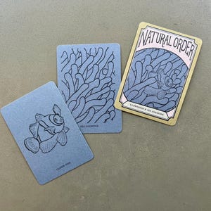 Symbiotic Relationship Card Game: Natural Order Memory Game, Ecology Learning image 3