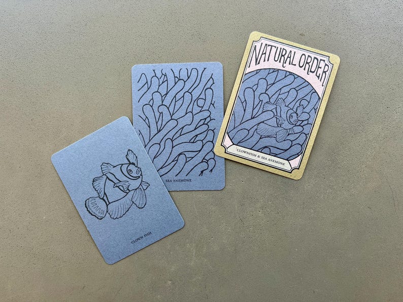 Symbiotic Relationship Card Game: Natural Order Memory Game, Ecology Learning image 3