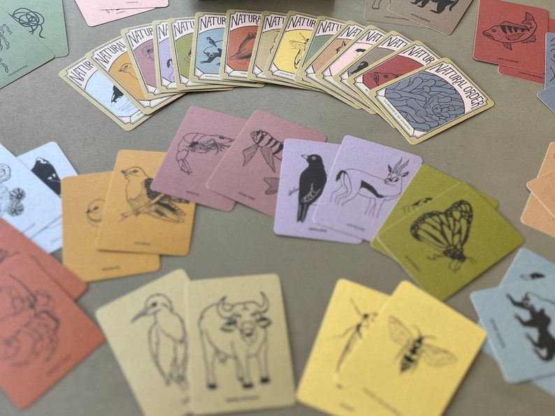 May include: A set of colorful cards featuring illustrations of various animals and insects. The cards are part of a nature-themed game or educational activity. The cards have a vintage aesthetic with a light brown background and black illustrations.