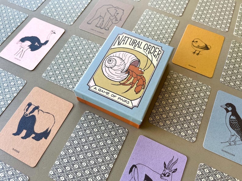 Symbiotic Relationship Card Game: Natural Order Memory Game, Ecology Learning image 11