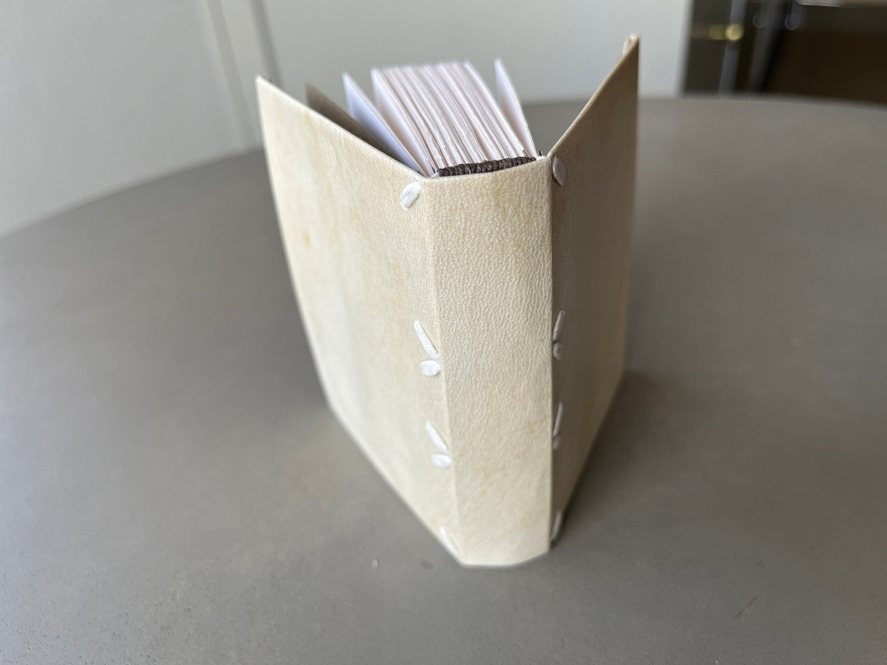 Mini Limp Vellum Binding, Historical Book Model, Tiny Handmade Book