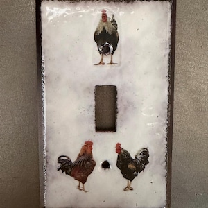Enamel on Copper Switchplate (single toggle)