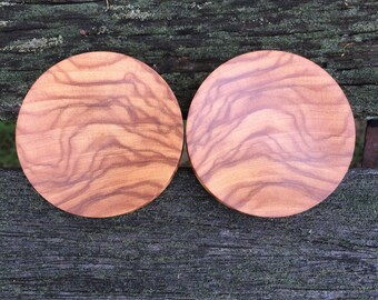 Concave Olivewood Plugs