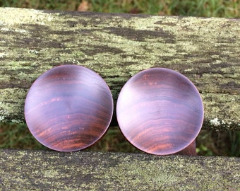 Concave Genuine Lignum Vitale Plugs