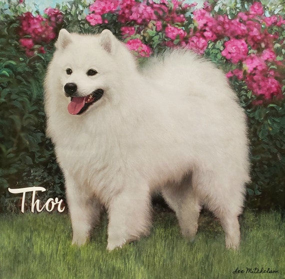 American Eskimo Personalize Dog Lover Gift For Custom Pet Portrait