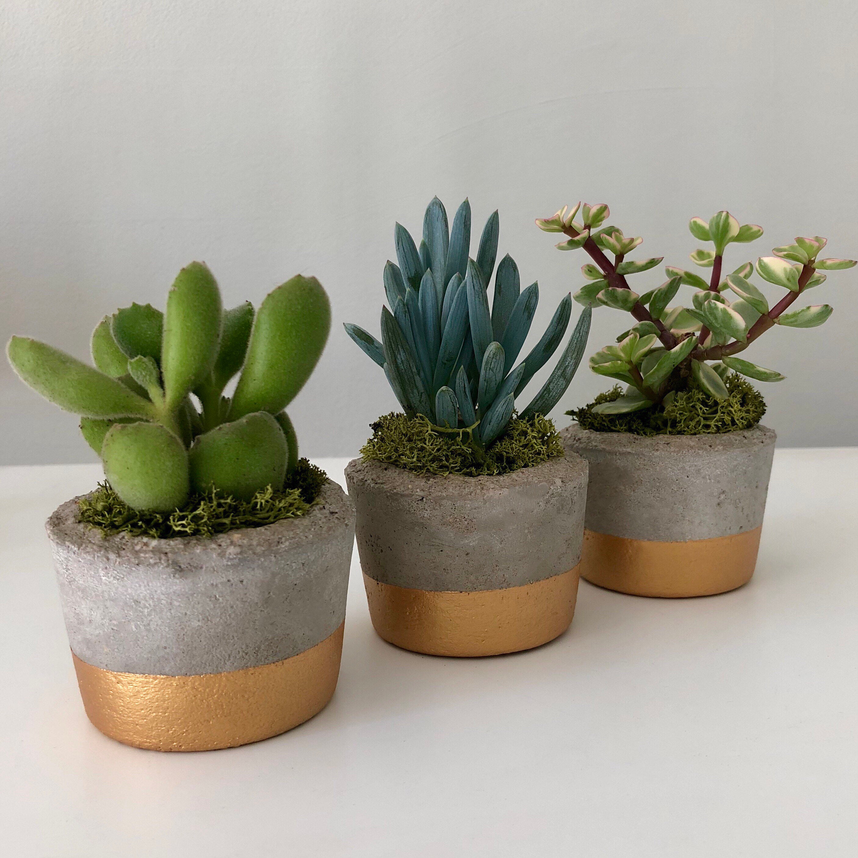 Concrete vases, the benefits of their use in Russia Concrete vases, the benefits of their use in Russia