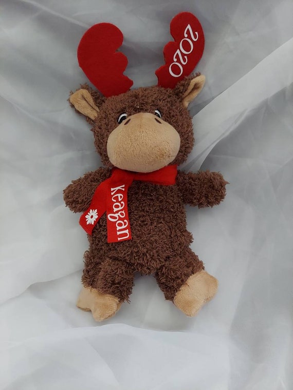 chocolate moose teddy