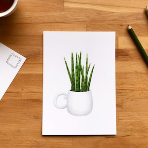 Illustration d'une Sansevieria bacularis au format 5x7, petite affiche carte postale pour les amoureux des plantes