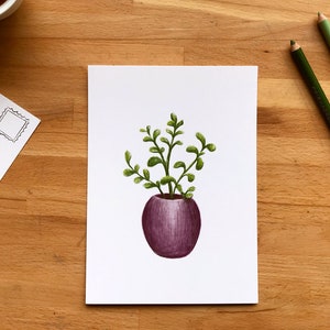 Illustration Arbre de Jade sur carte postale 5 X 7, petite affiche de plante dessinée par Jaune Pop à Montréal