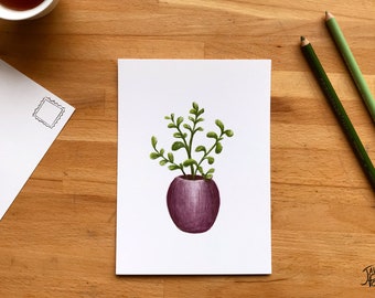 Illustration Arbre de Jade sur carte postale 5 X 7, petite affiche de plante dessinée par Jaune Pop à Montréal