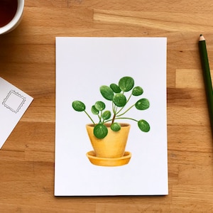 Petite affiche Piléa, carte postale de plante à monnaie chinoise 5x7 sur carton, illustration de style crayons de couleur
