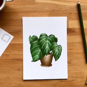 Petite affiche Philodendron, carte postale de plante 5x7 sur carton, illustration de style crayons de couleur
