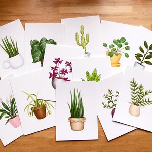 Ensemble de 12 Cartes Postales ou Affichettes 5 x 7 représentant chacune une plante d'intérieur différente dans un style crayons de couleur