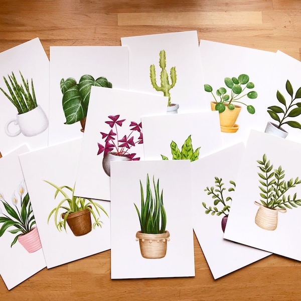 Set of 12 Postcards or 5 x 7 Posters representing a different indoor plant each in a crayon style. Perfect gift for plant lovers