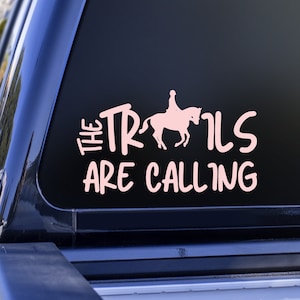 Trail Rider Horse Vinyl Decal for Trailer, Horse Trailer Sticker, Horse Decal Sticker for Car, Horse Decal, Horse Decal For Truck Sticker