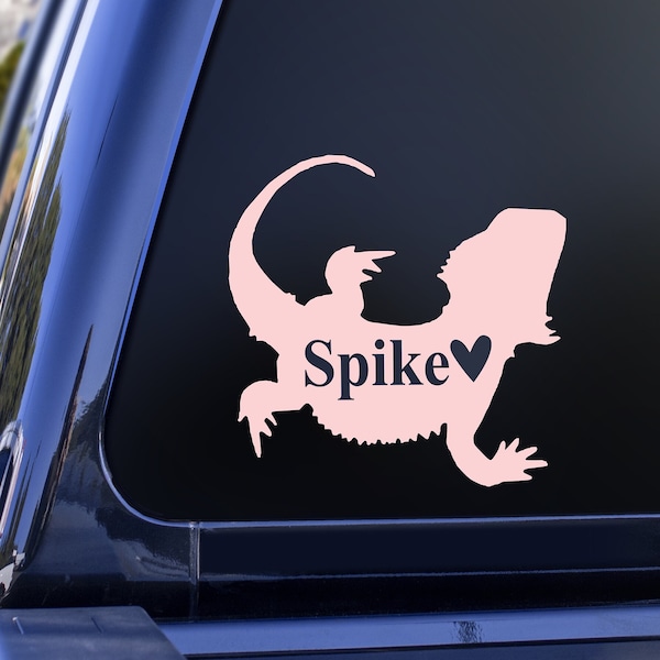 Pink Bearded Dragon Tank Accessories Etsy