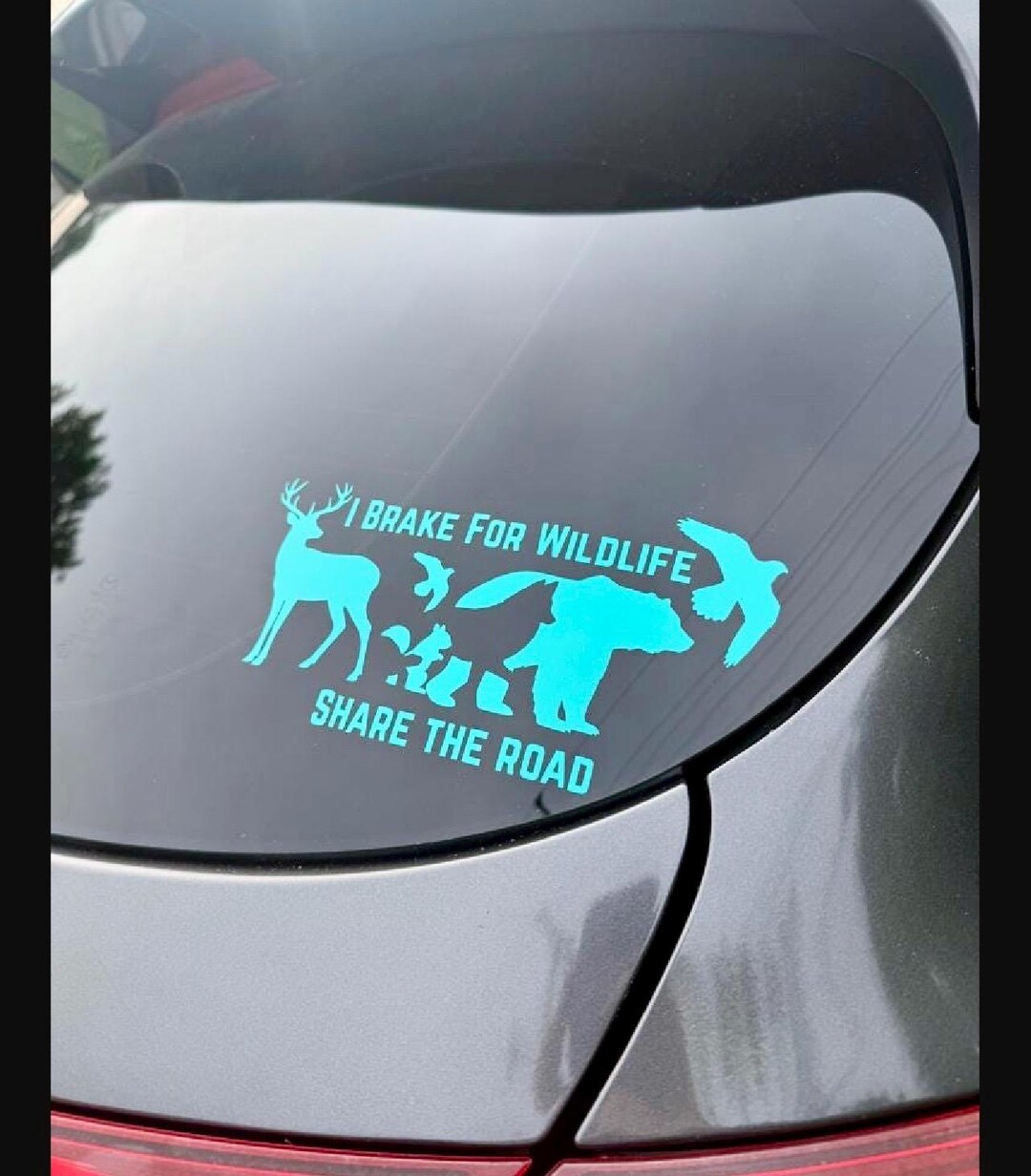 I Brake for Wildlife Car Decal – Share the Road Vinyl Sticker - Etsy