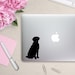see more listings in the Dog Stickers section