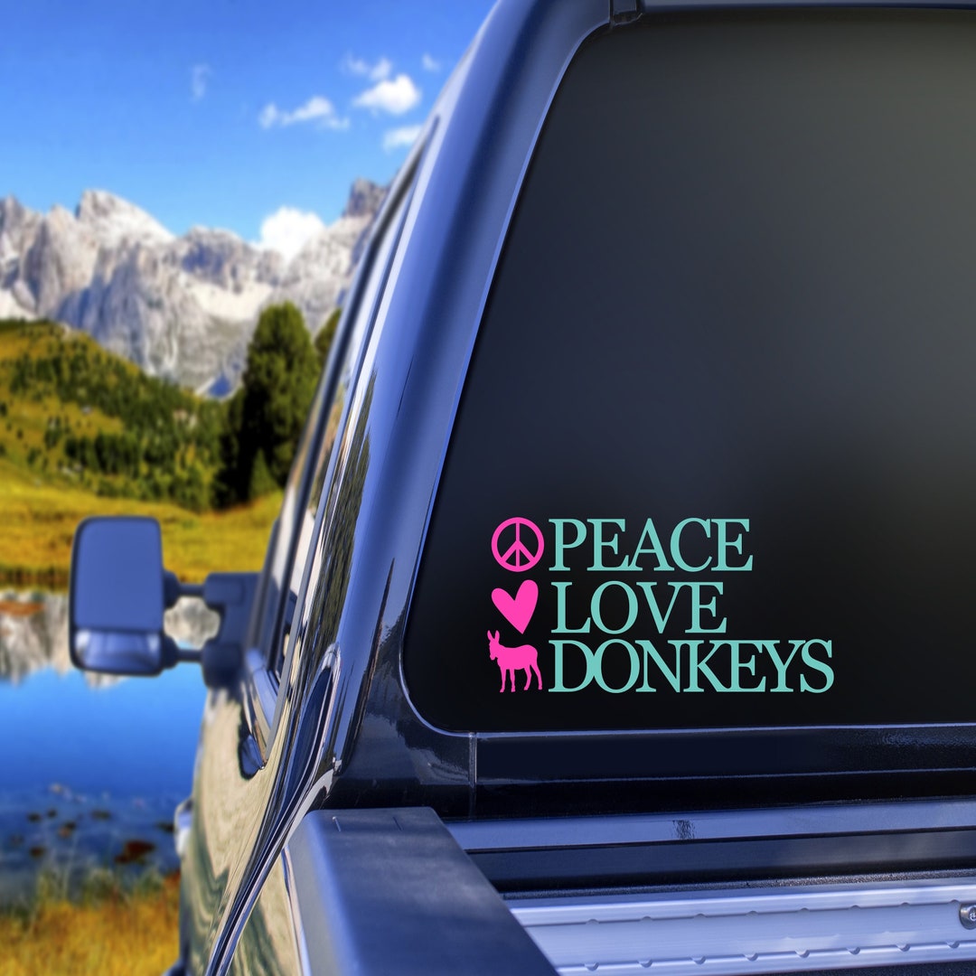 Miniature Donkey Gift for Women Friend, Donkey Sticker, Donkey Decal