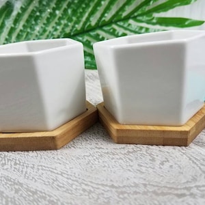 May include: Two white hexagonal ceramic planters with wooden bases. The planters are empty and sitting on a light gray surface.
