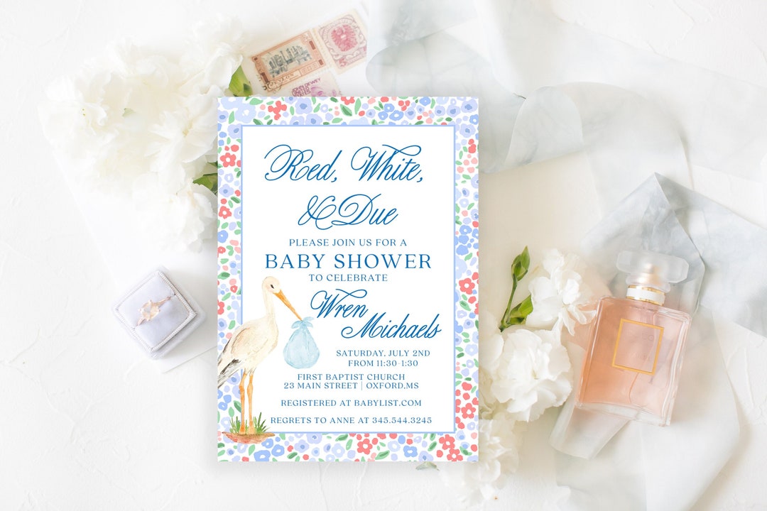 Wren Michaels Baby Shower Red White and Due Stork Patriotic Etsy