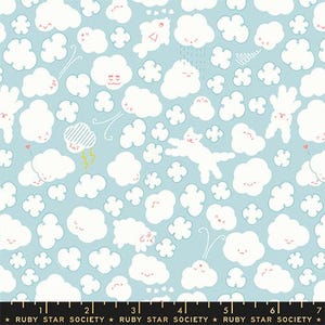 PRE-ORDER January 2027 || Cloudy, Lily Pad - Float