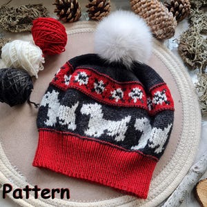 May include: A knitted winter hat with a red brim, a black and gray body, and a white pom-pom. The hat features a pattern of white dogs and red floral designs. The word "Pattern" is visible in the lower left corner.