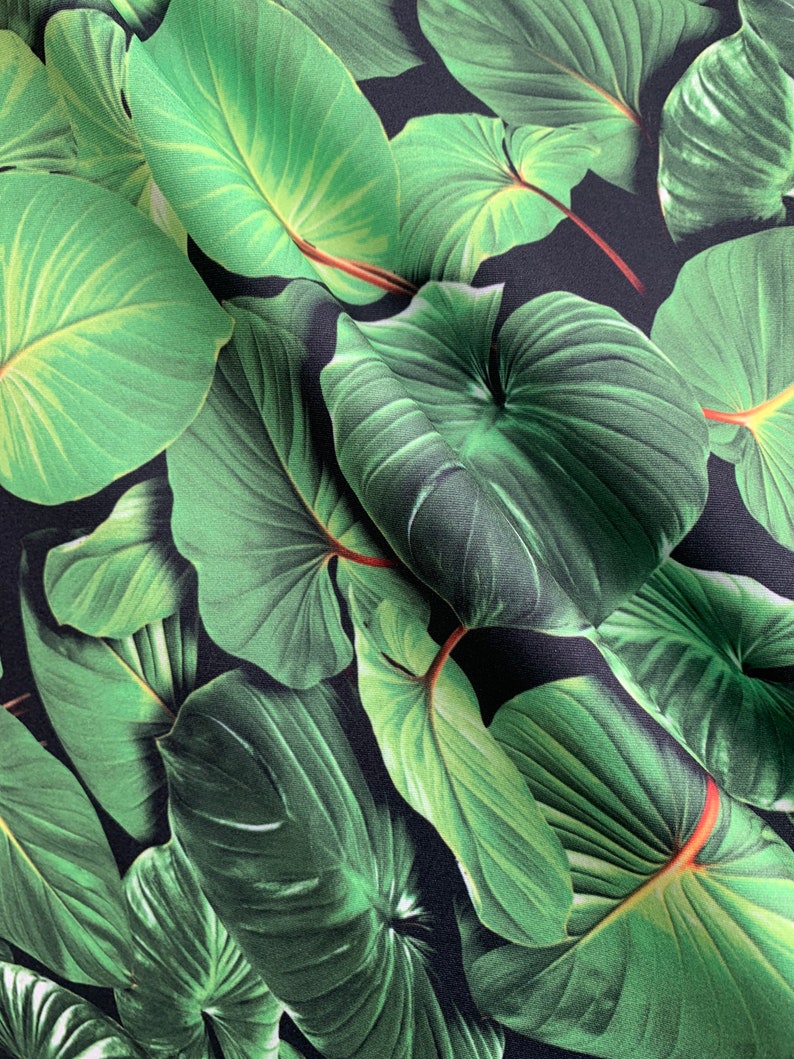 May include: A close-up of a fabric with a tropical leaf print. The leaves are a deep green color and are arranged in a random pattern on a black background.