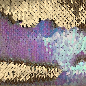 May include: A close-up of iridescent sequins in shades of purple, blue, and gold. The sequins are arranged in a pattern that resembles fish scales.