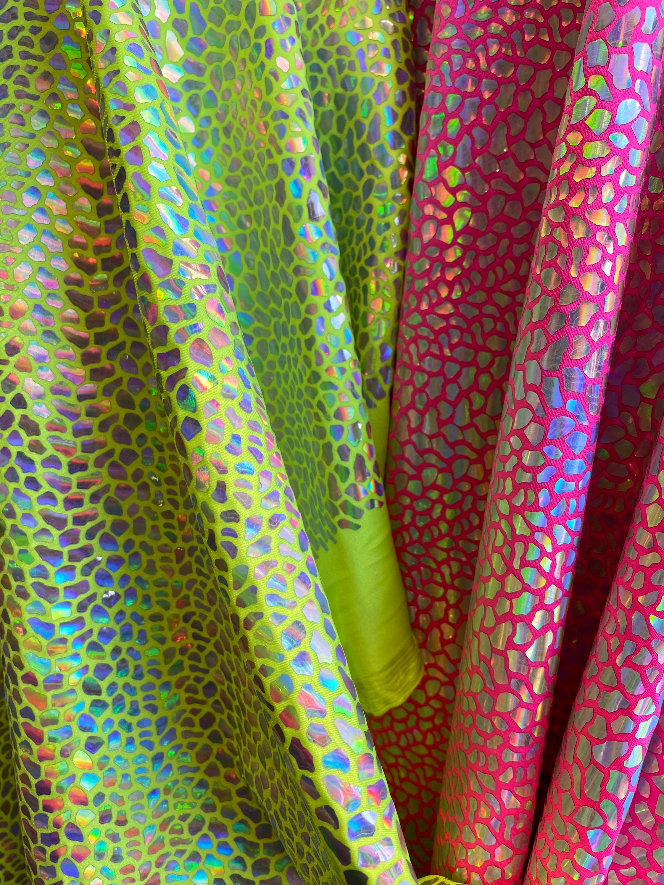 FAB：Fabric of Scales / SnapdragonScalers snag__20009.1702055962.jpg?c=2