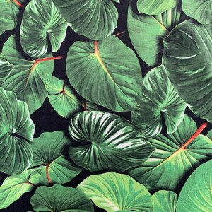 May include: A close-up of a dark green tropical leaf pattern on a black background. The leaves are large and have a prominent vein structure.