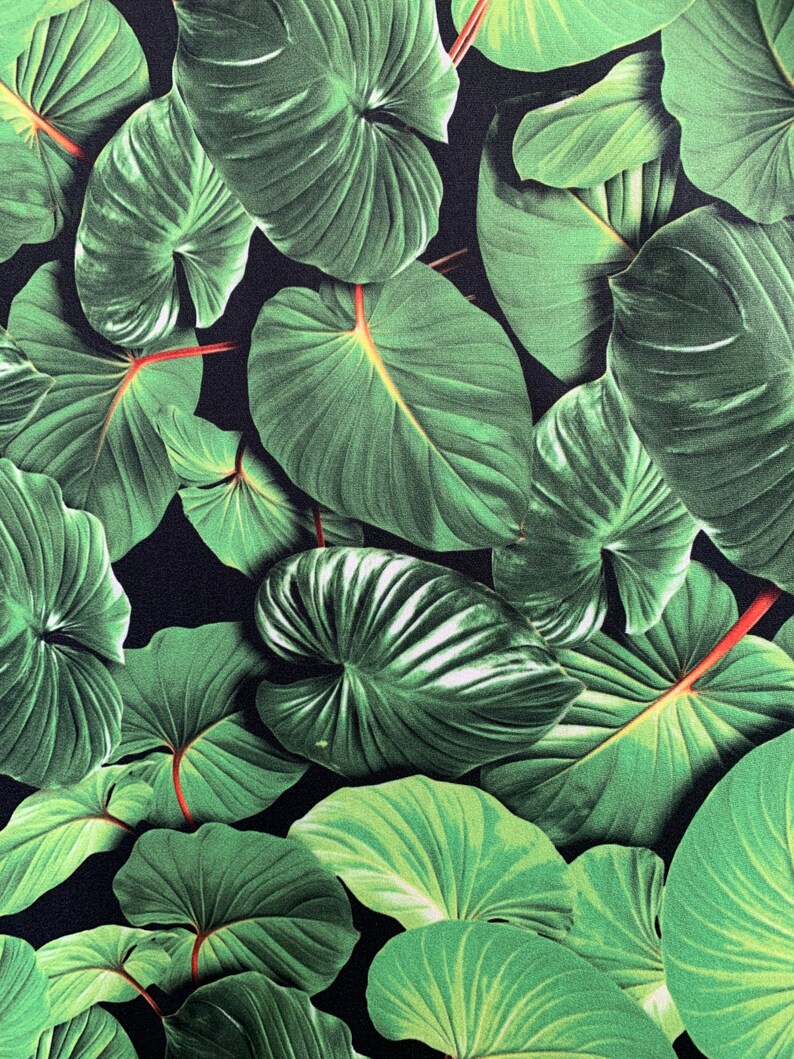 May include: A close-up of a dark green tropical leaf pattern on a black background. The leaves are large and have a prominent vein structure.