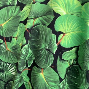 May include: Close-up of a fabric with a green tropical leaf pattern on a black background.