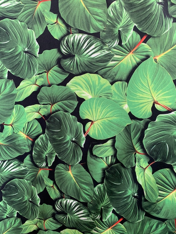 Tropical Leaves Print on Poly Spandex Fabric ,2 way Stretch spandex Fabric sold by yard. 60” wide