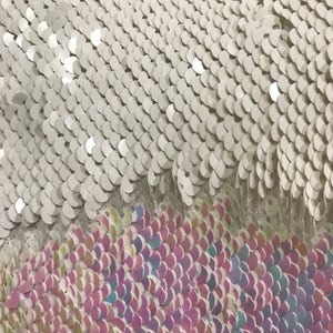May include: White and iridescent sequins in a scale pattern. The sequins are sewn onto a mesh fabric.