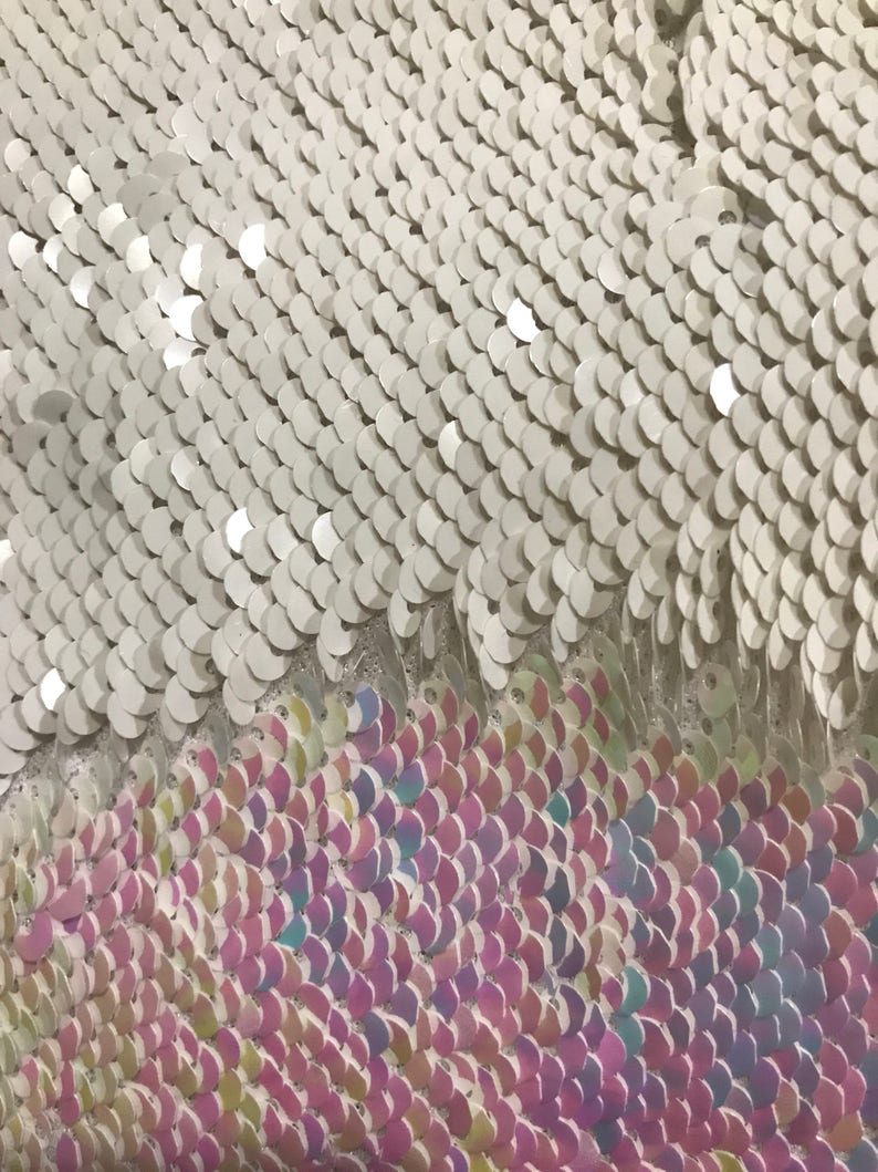 May include: White and iridescent sequins in a scale pattern. The sequins are sewn onto a mesh fabric.