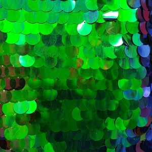 May include: Green iridescent sequins arranged in a scale pattern. The sequins are sewn onto a mesh backing.