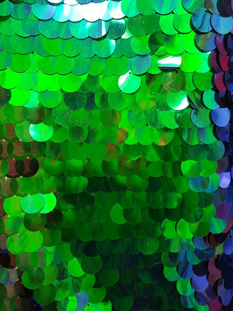 May include: Green iridescent sequins arranged in a scale pattern. The sequins are sewn onto a mesh backing.