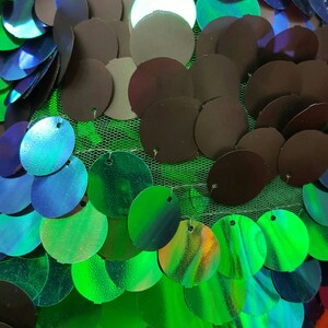 May include: A close-up of iridescent green, blue, and black sequins sewn onto a mesh fabric. The sequins are round and overlapping.